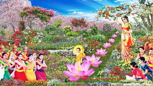 dan sinh trong rung sal sa la 1516 1