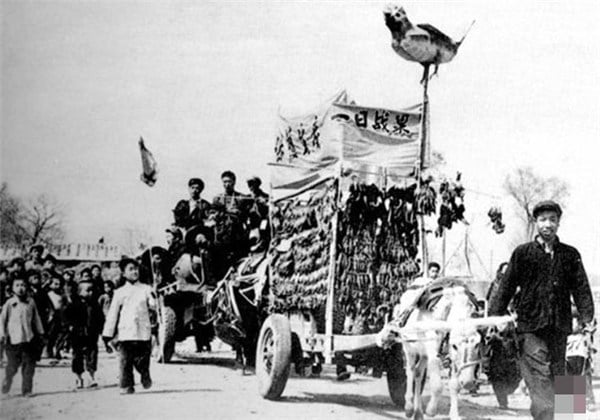 Chiến dịch diệt chim sẻ ở Trung Quốc và câu chuyện nhân quả 4