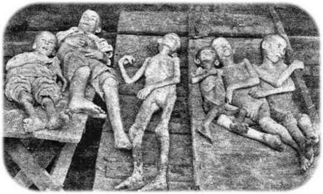 Chiến dịch diệt chim sẻ ở Trung Quốc và câu chuyện nhân quả 5