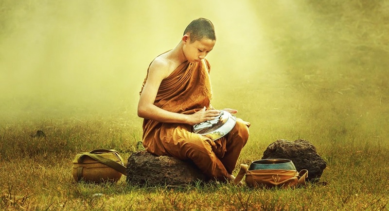 Phiền não giống như cỏ dại 1