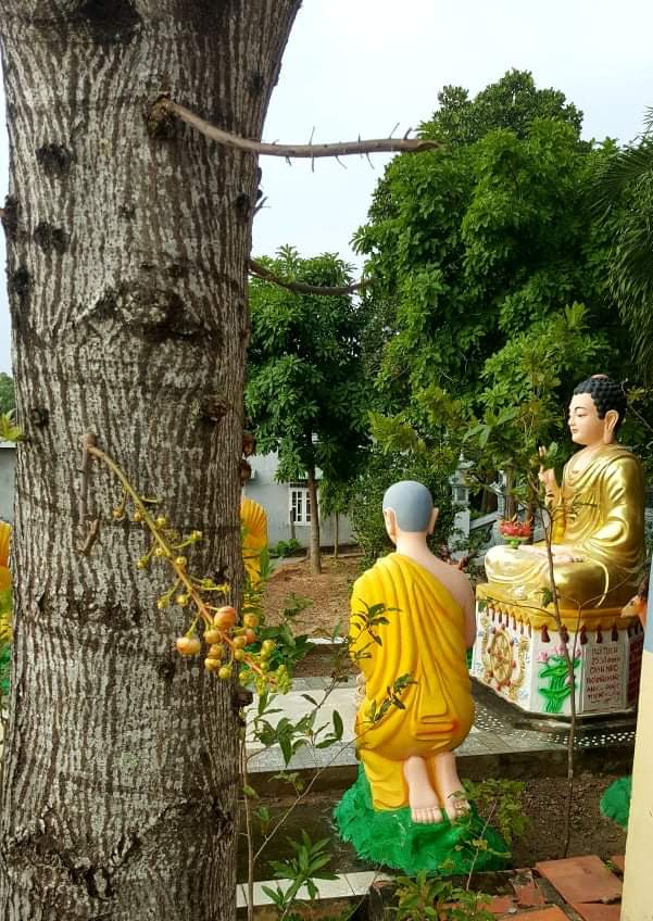 fb_img_1604580360642-0836 Chùa Linh Bửu