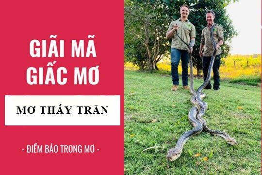 giai ma giac mo nam mo thay tran 2019 12 06