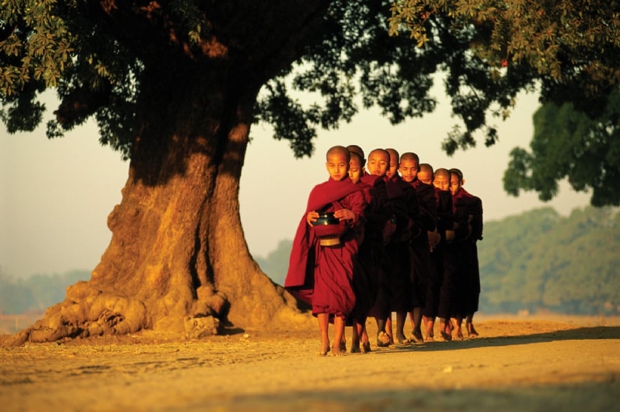 Chuyển hóa nội tâm là chìa khóa để vượt qua khổ đau.