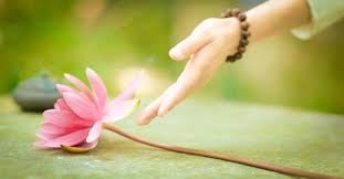 Ý nghĩa của sự buông xả và hiểu sâu về sự bám víu 2