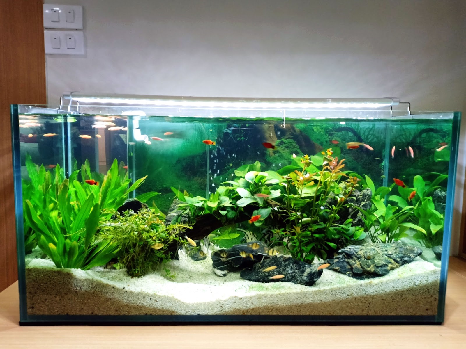 Tăng cường vượng khí bằng cách bài trí nội thất hợp phong thủy