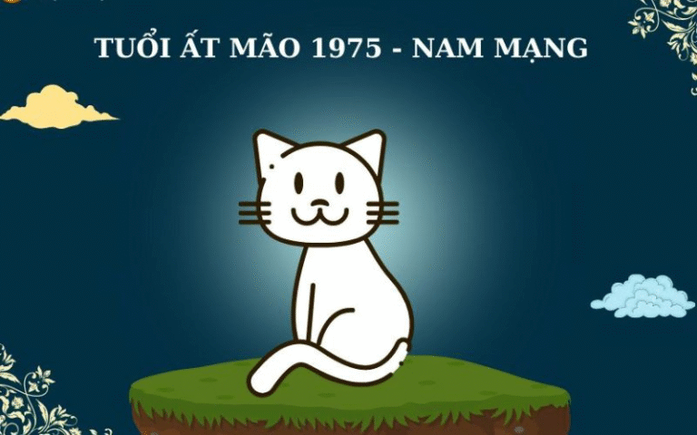 image upload 1692183102 1 1