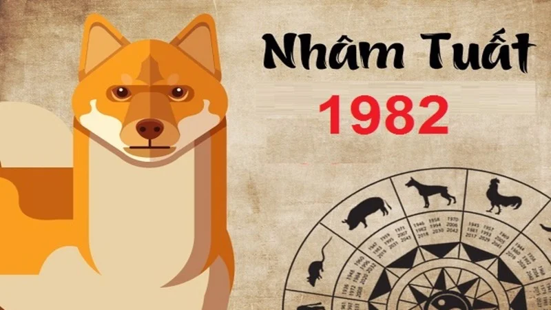 Người sinh năm 1982 tuổi Nhâm Tuất
