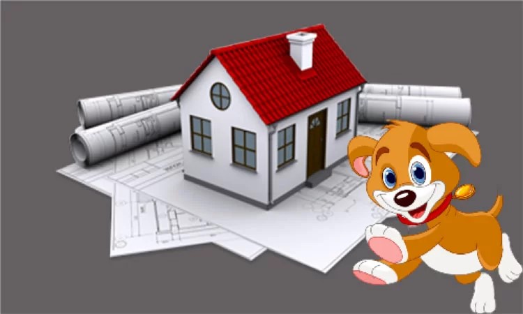 tuổi Giáp Tuất xây nhà năm 2024 thuận lợi