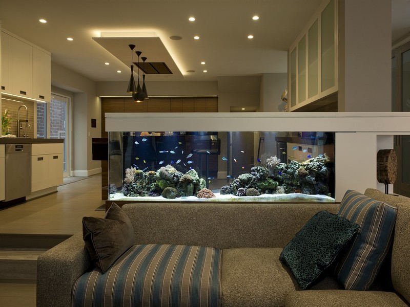 be-ca-phong-thuy-cho-nguoi-menh-kim