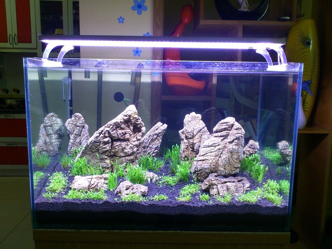 luu-y-khi-dat-be-ca-phong-thuy