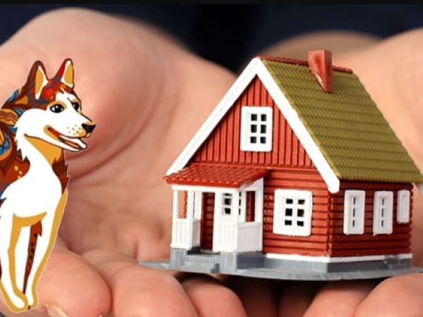 tuoi-nham-tuat-1982-lam-nha-nam-2023