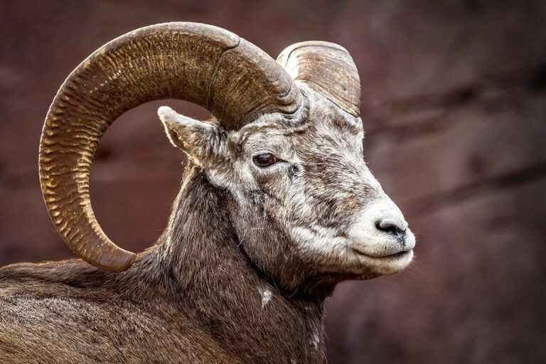 image upload 1699777550 1 1