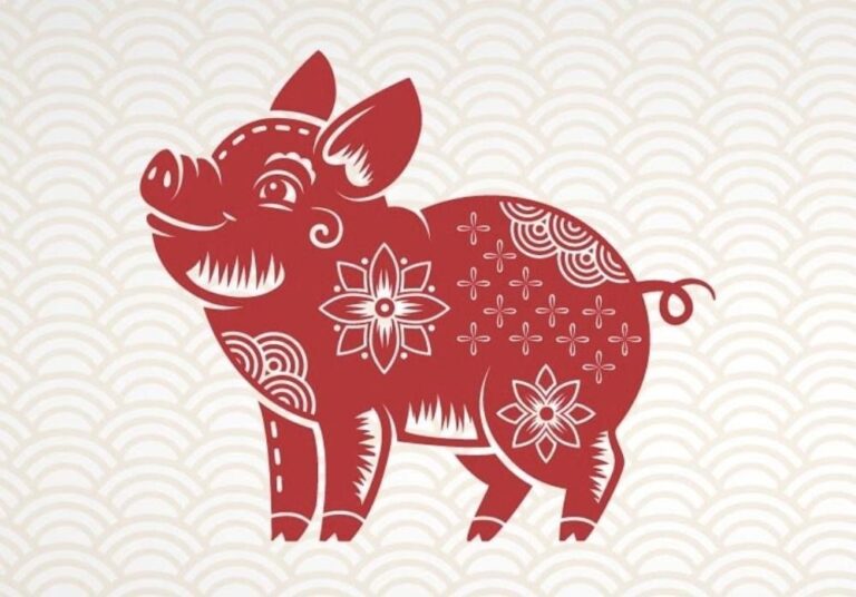 image upload 1701739271 1 1