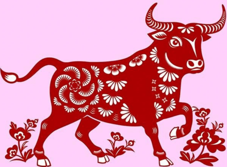 image upload 1701850584 1 1