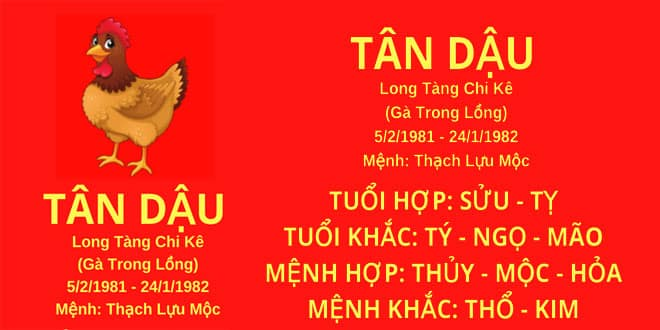tử vi 2025 tuổi tân dậu 1981 nam mạng