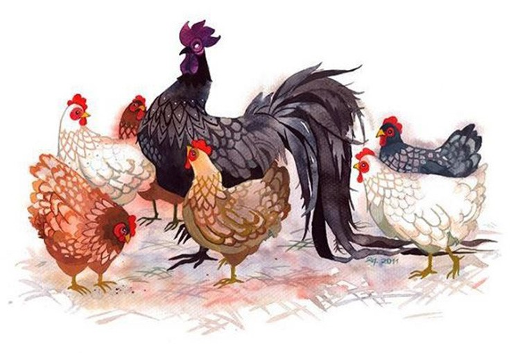 sao chieu menh tuoi tan dau 1981