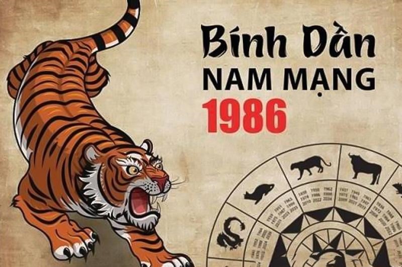 tử vi tuổi Bính Dần nam mạng 2025