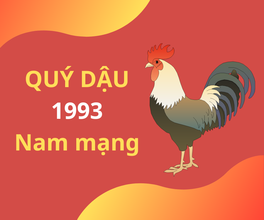 Tử vi tuổi Quý Dậu 1993 nam mạng năm 2024