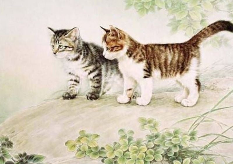 tuoi xong nha hop voi tuoi ky mao 1999