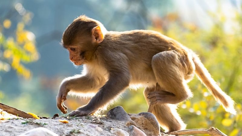 image upload 1702268083 mceclip10