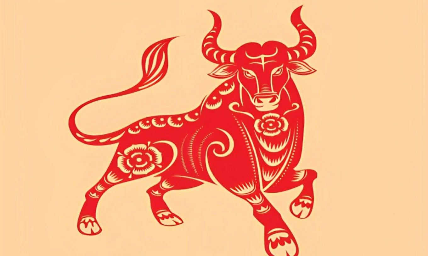 Tử vi tuổi Đinh Sửu 1997 nam mạng năm 2024