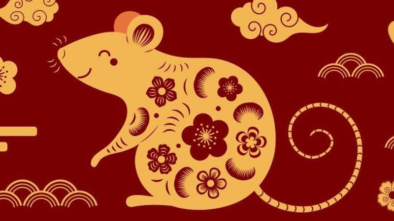 Nữ sinh năm 1996 tuổi Bính Tý Nữ sinh năm 1996 tuổi Bính Tý