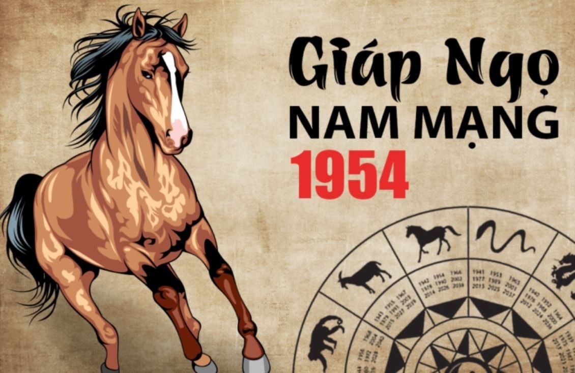 Tử vi tuổi Giáp Ngọ 1954 nam mạng năm 2024