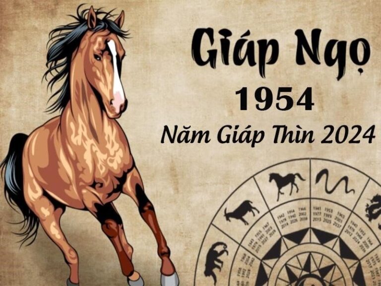 image upload 1702569497 1 1