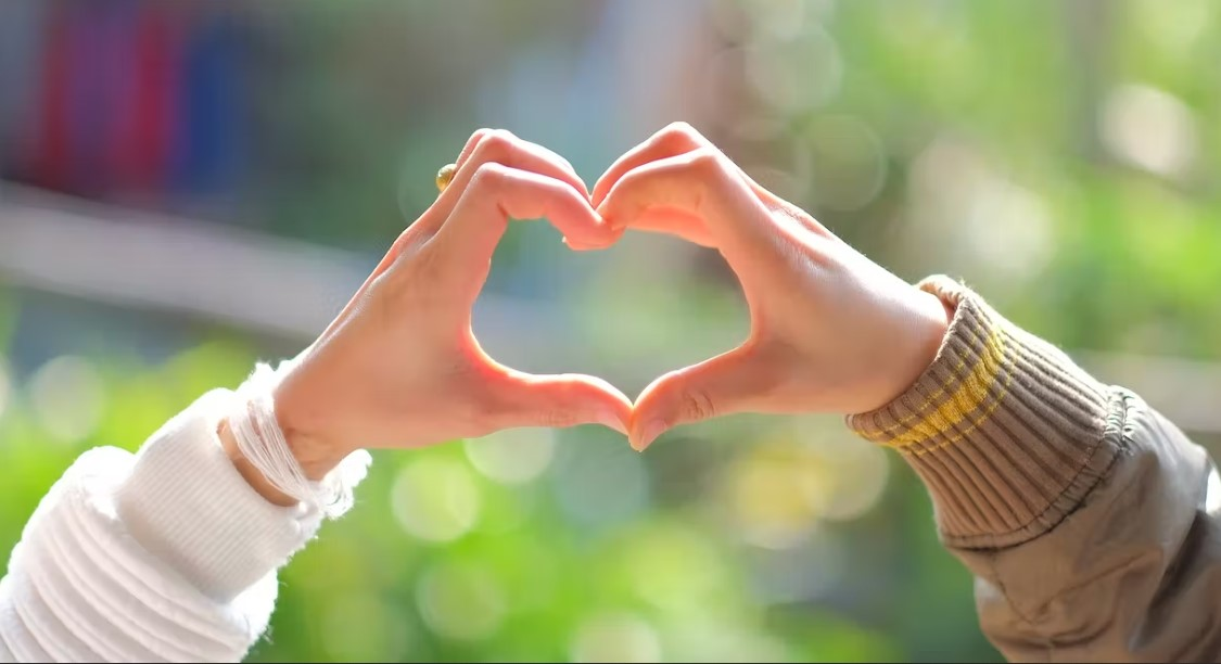 image upload 1702571326 mceclip5