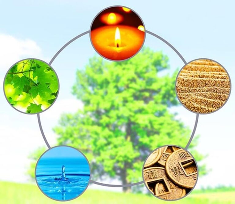 image upload 1703064943 1 1