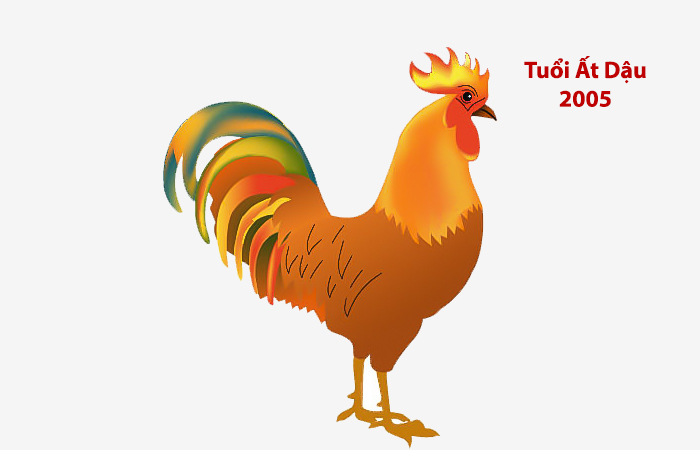 Nam tuổi Ất Dậu 2005
