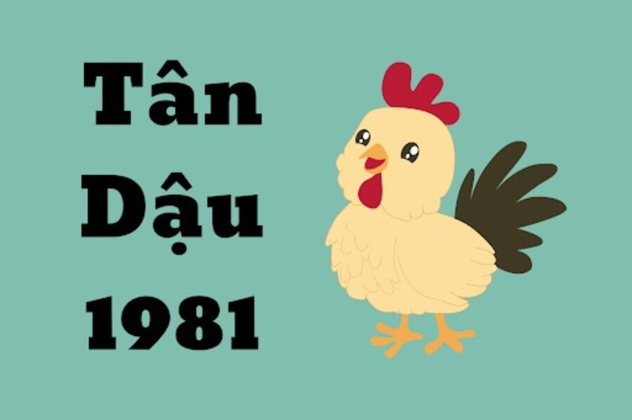 luoc-do-tu-vi-tan-dau-1981-nam-2024