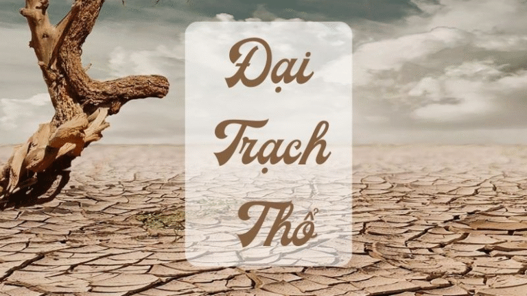 image upload 1717131327 1 1