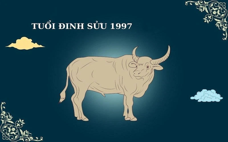tuoi dinh suu 1997 hop con so nao