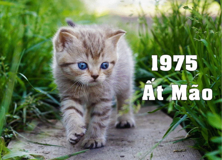 image upload 1717652516 5 1