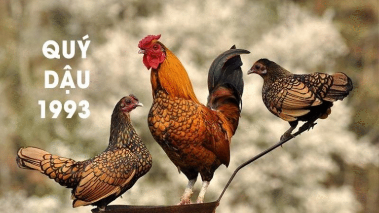 image upload 1717984378 mceclip0 1