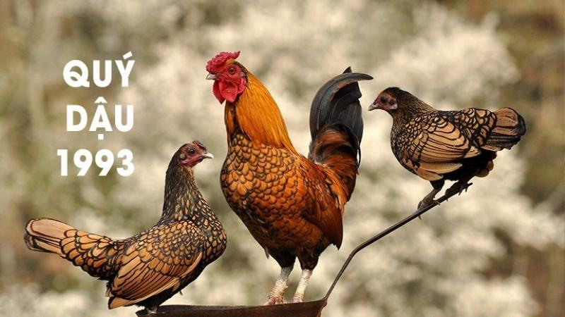 Hình ảnh minh họa con số may mắn