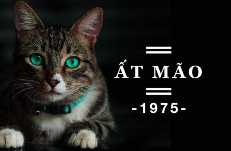 image upload 1719219067 1 1