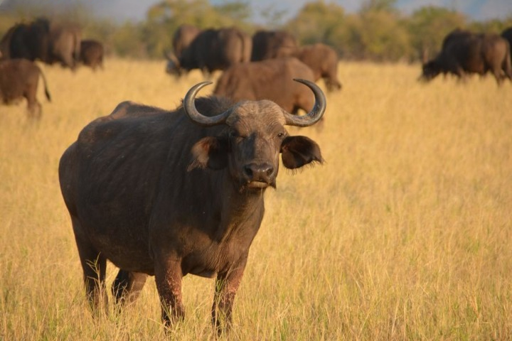 image upload 1719652554 mceclip0 1