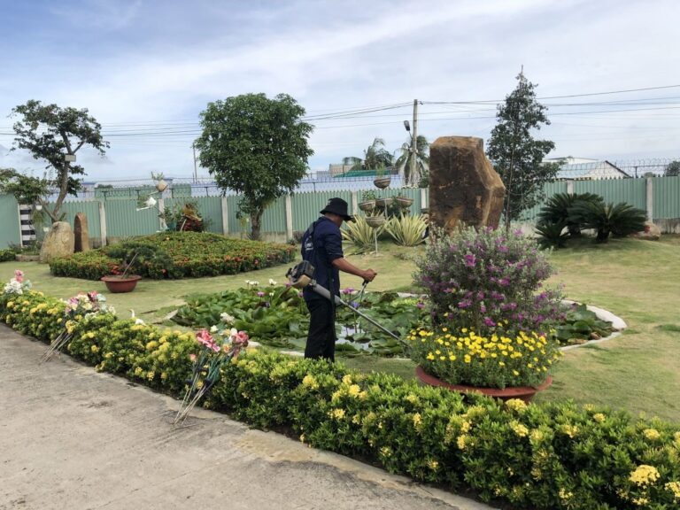 image upload 1720931475 1 1