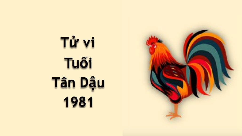 xem tu vi tuoi tan dau 1981