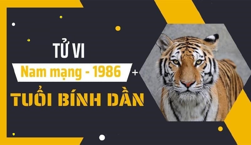 luận giải tử vi tuổi Bính Dần 1986 nam mạng 2025
