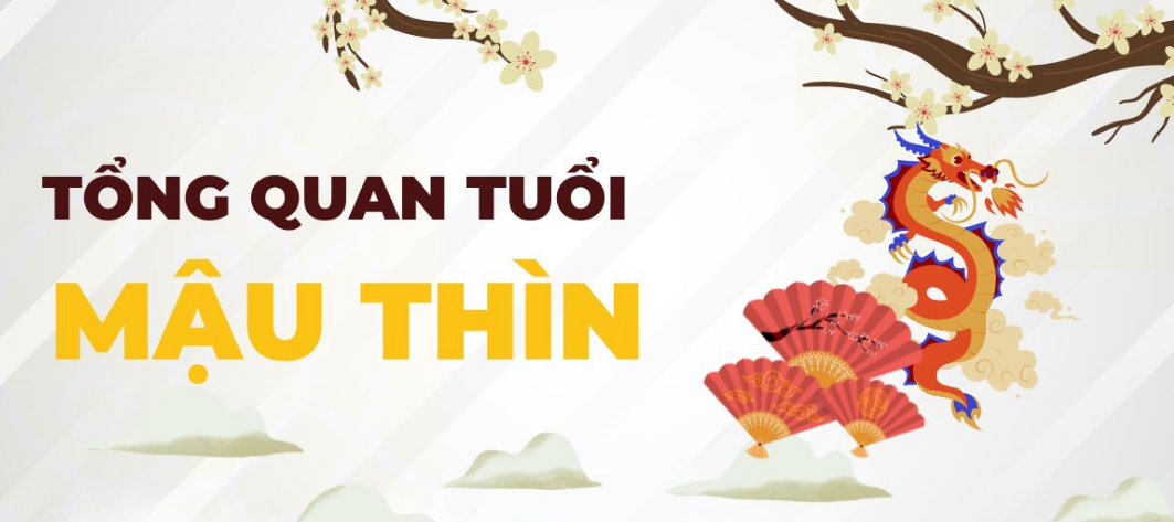 image upload 1731061325 1