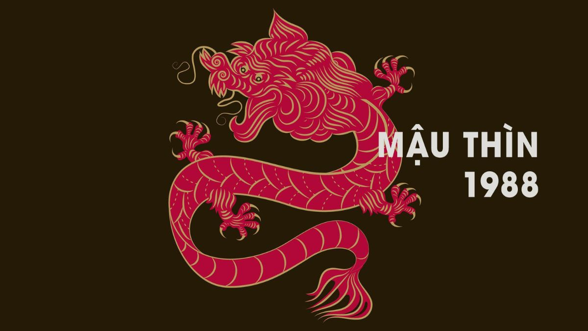 image_upload_1731347586_1 image upload 1731347586 1