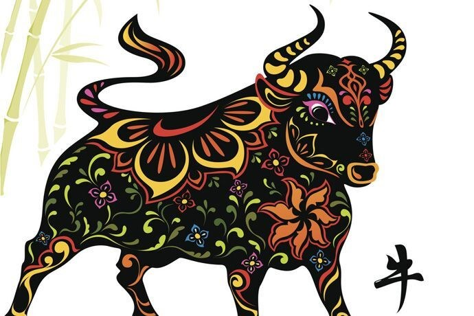 image upload 1731497862 1