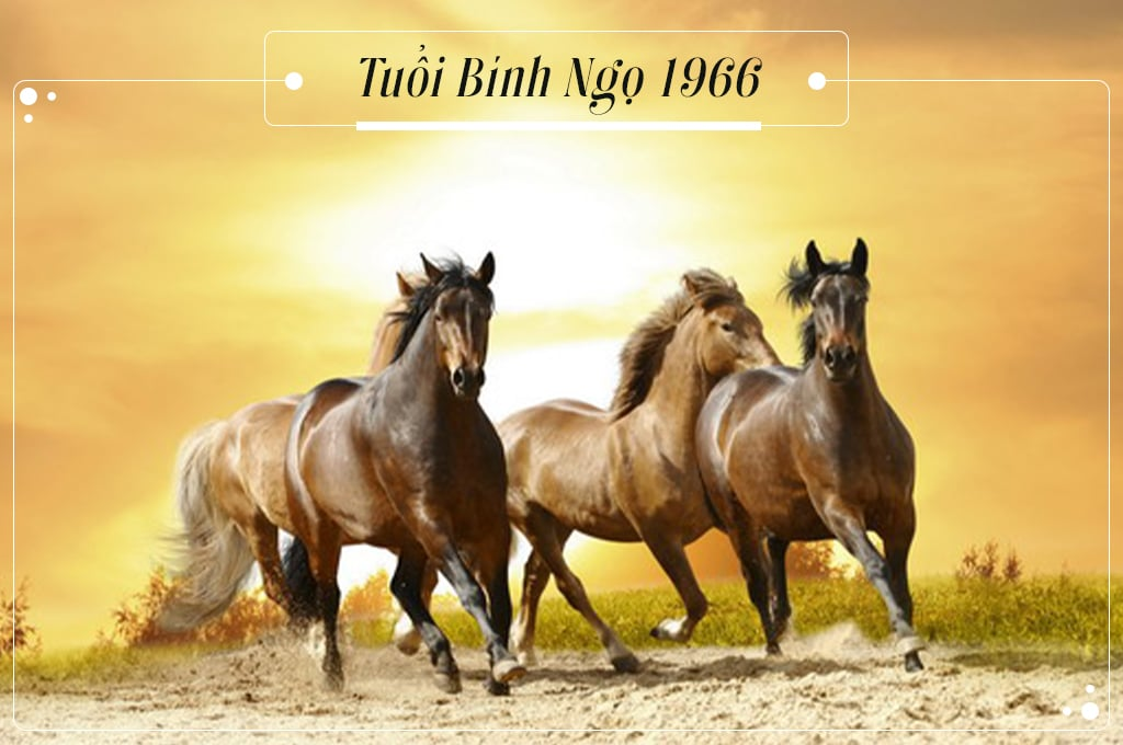 tài chính tuổi Bính Ngọ 1966 nam mạng năm 2025