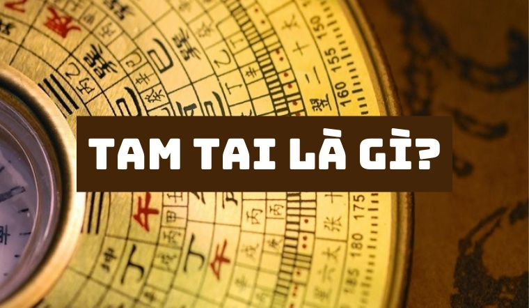 Tuổi Mậu Thân 1968 hợp xe màu gì