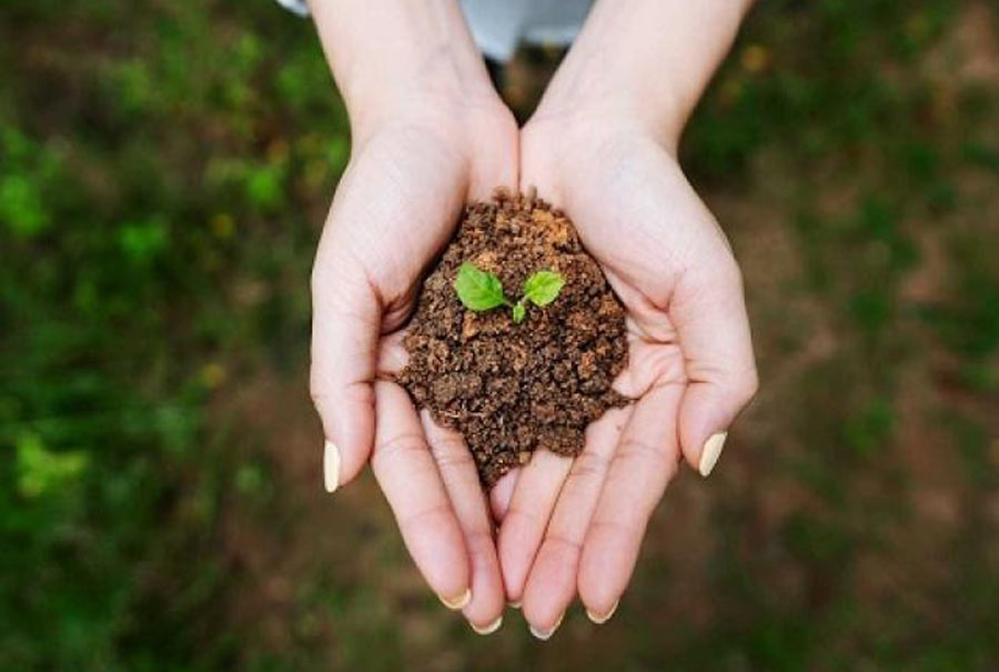 image upload 1731869616 mceclip1