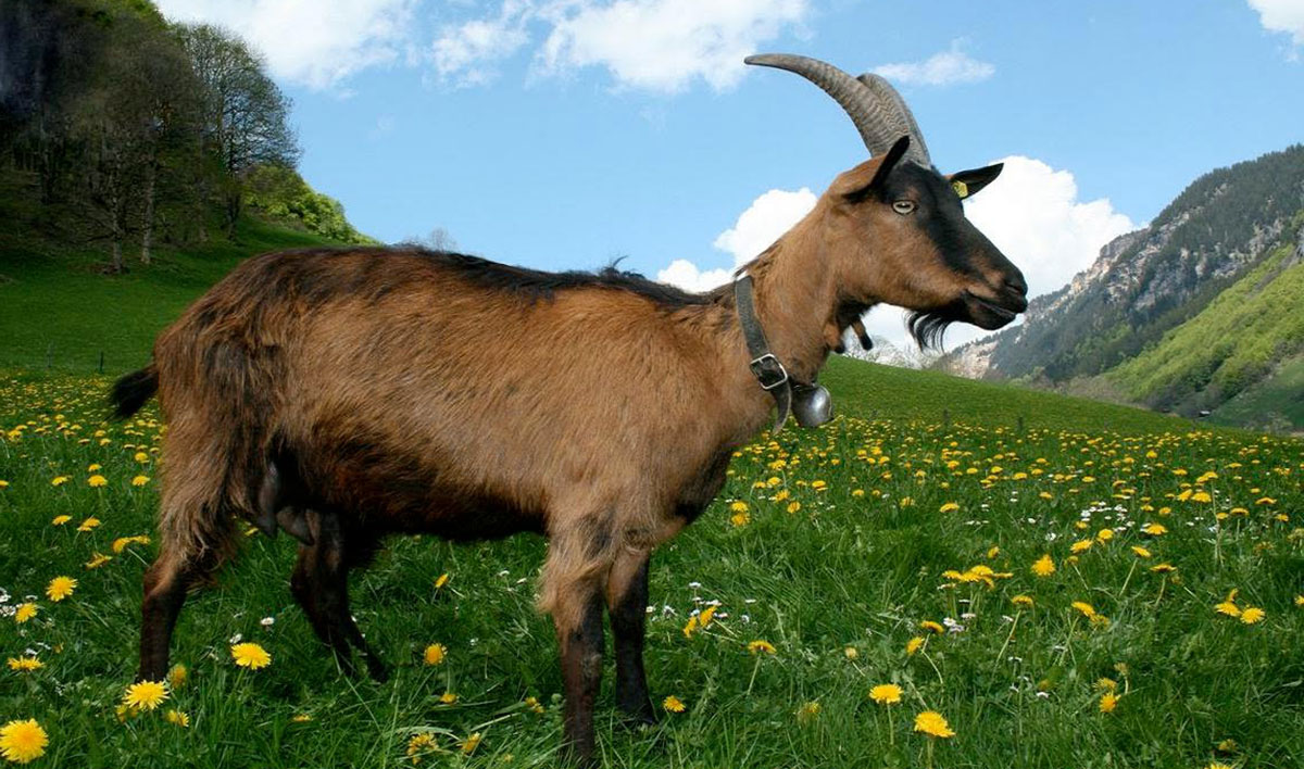 image upload 1731953219 3