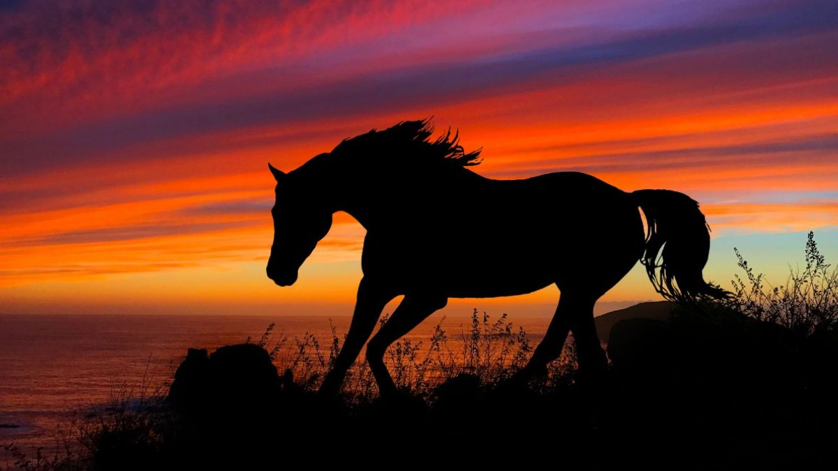 image upload 1731955712 2